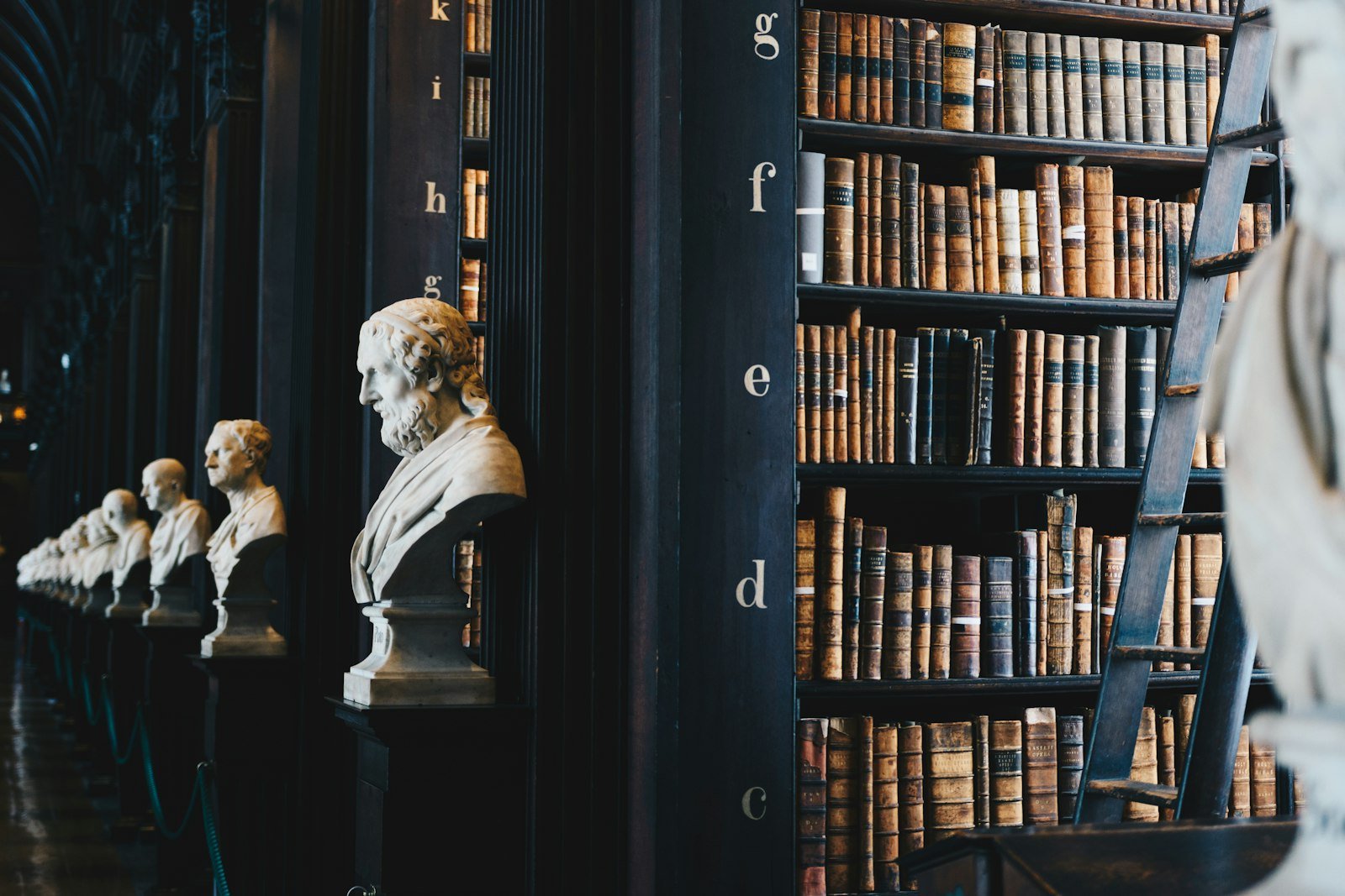 Interior de una biblioteca clásica con estanterías de madera repletas de volúmenes encuadernados